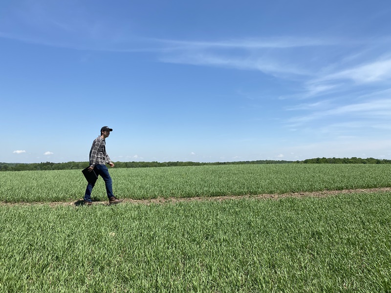 An image of a man walking through a field