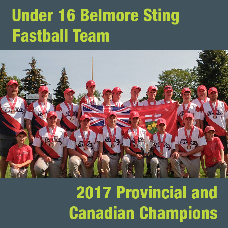 This photo shows a team shot of the 2017 Under 16 Belmore Sting fastball team.