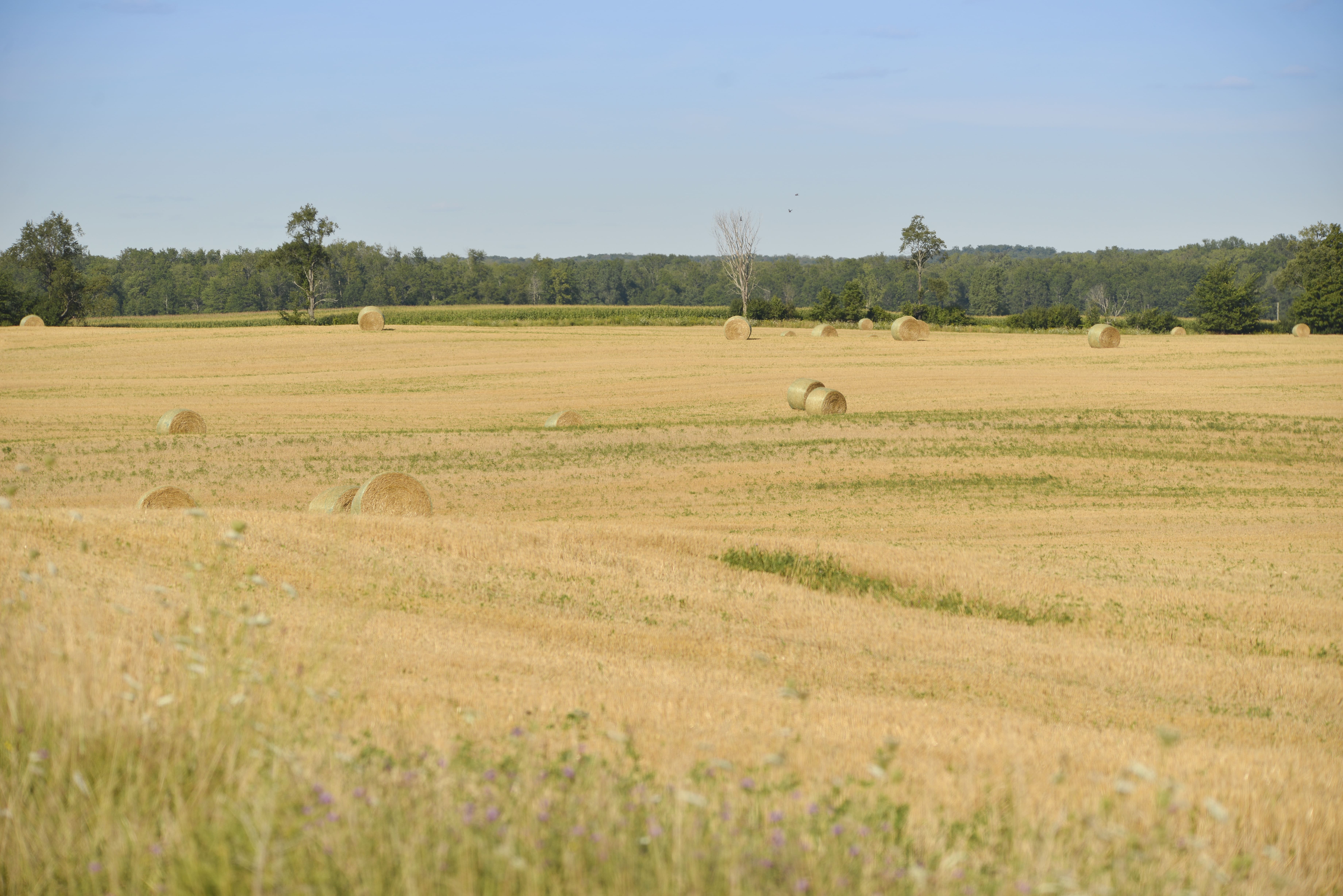  A community poll released by Ipsos shows 59% of residents in Huron-Bruce-Grey continue to be aware of the potential for a deep geological repository site in South Bruce and 73% of those residents are in favour of the consultation process.