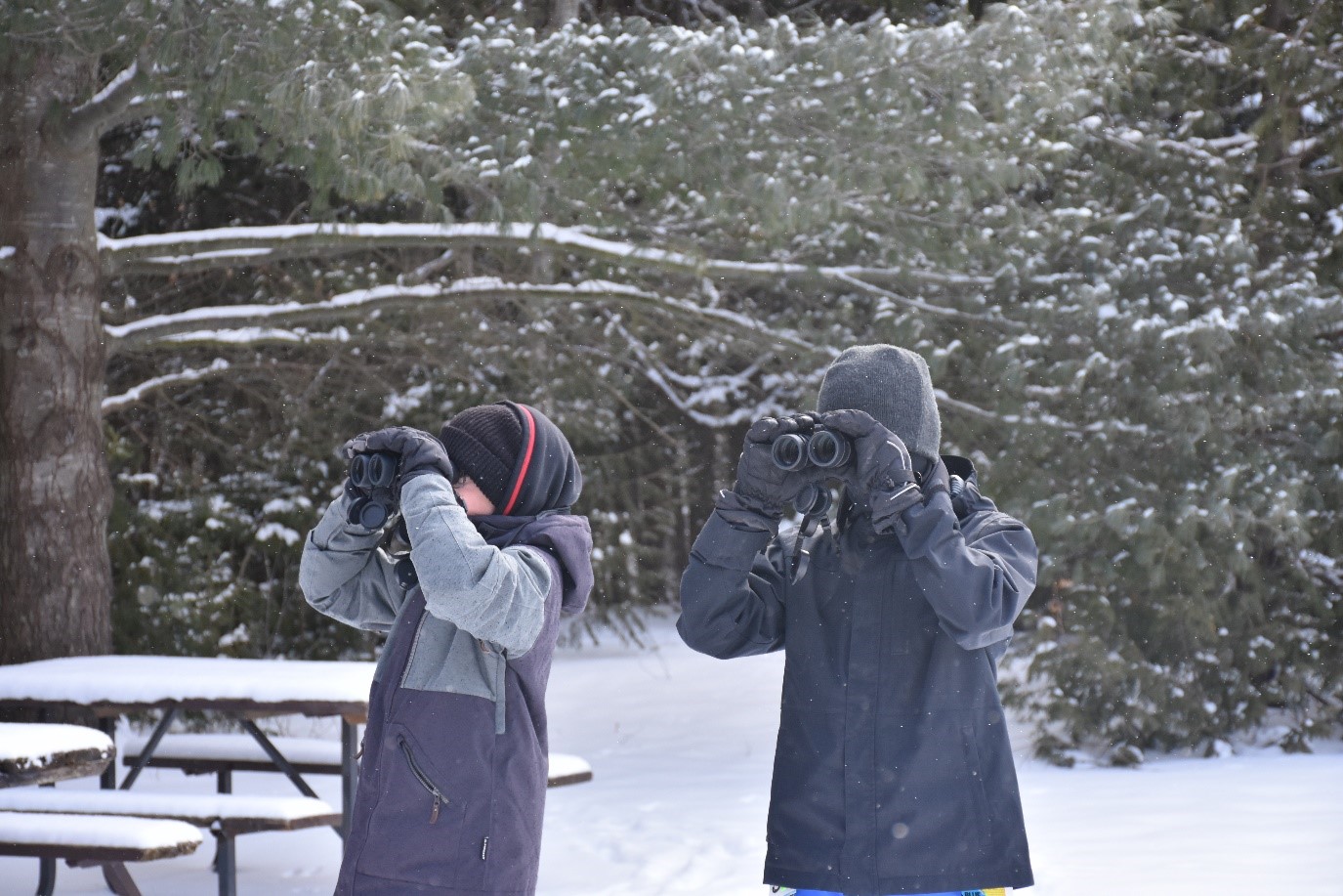 Students from Mildmay Sacred Heart School use the binoculars funded through the NWMO’s regional Early Investments in Education and Skills program to identify different species of birds at MacGregor Point Provincial Park.