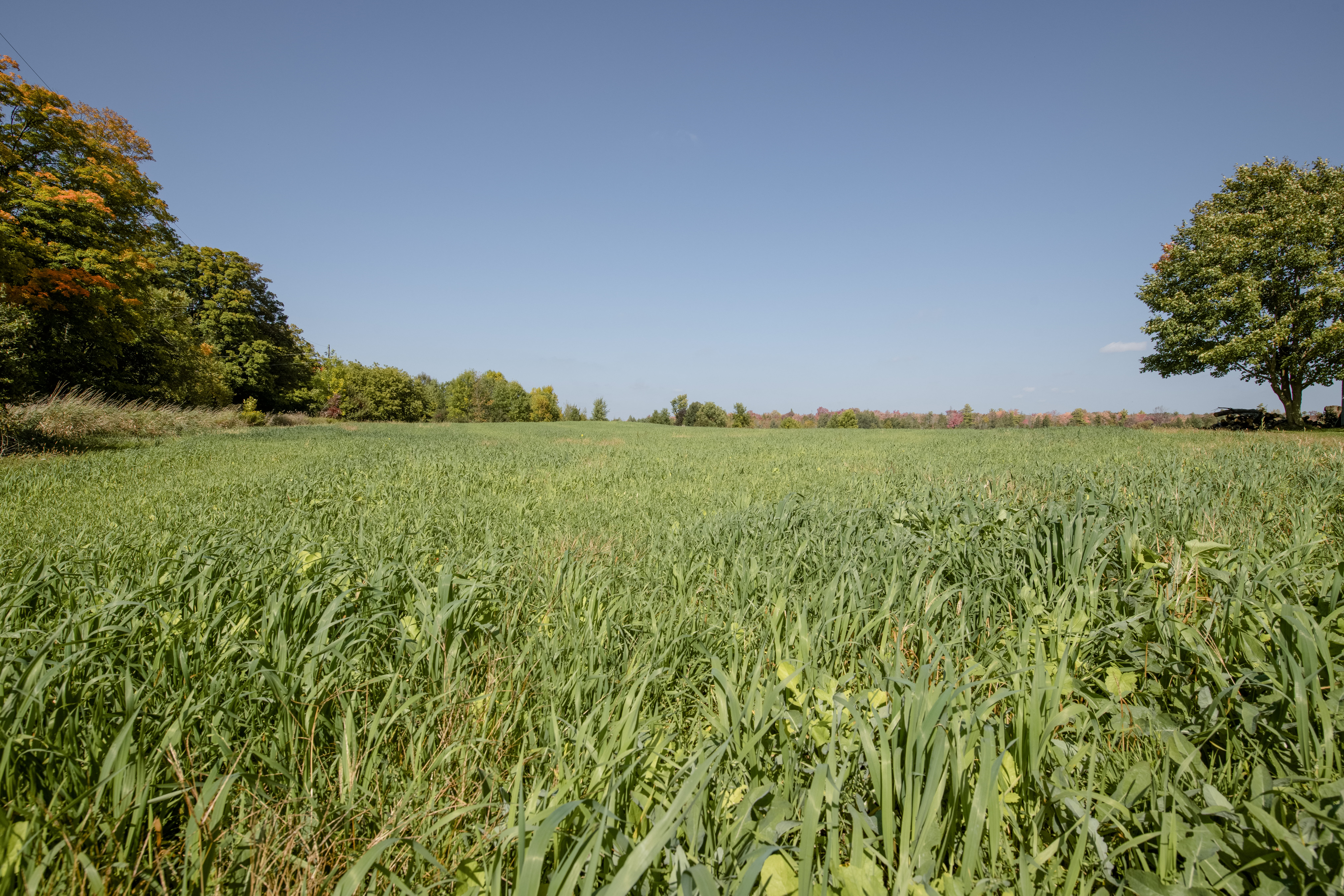 Land in South Bruce.