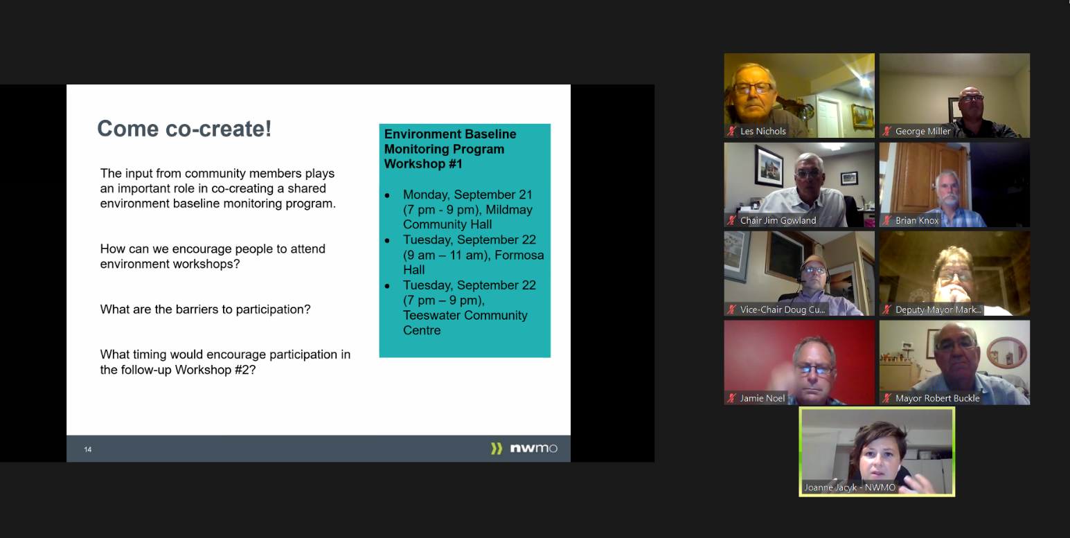 Screenshot of virtual meeting