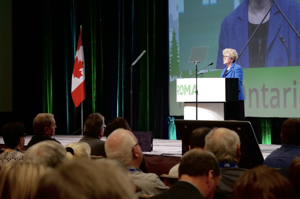 Laurie Swami, President and CEO of the NWMO, speaks at the 2020 Rural Ontario Municipal Association Conference.