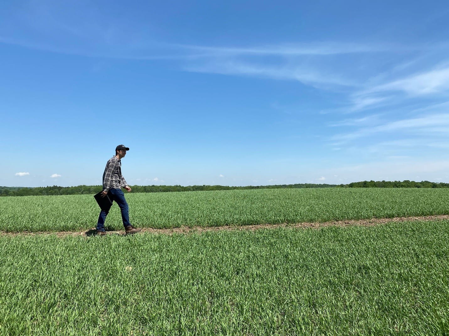 Man walking in field