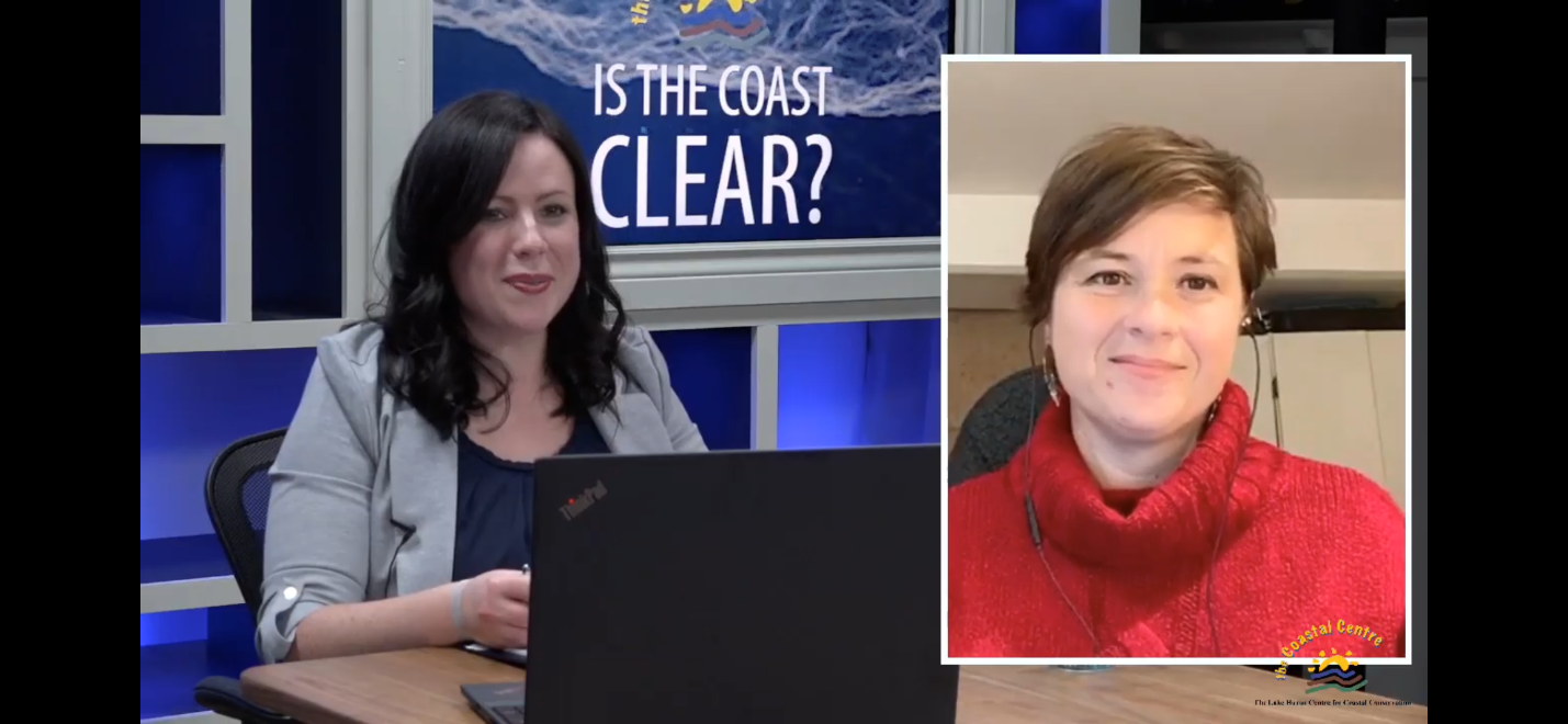 Screenshot of virtual conference